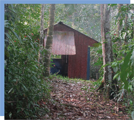 Cabin